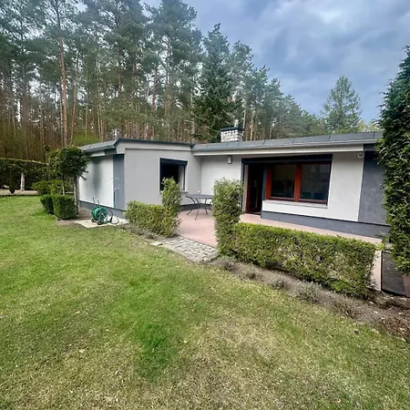 640 - Puszcza Zielonka